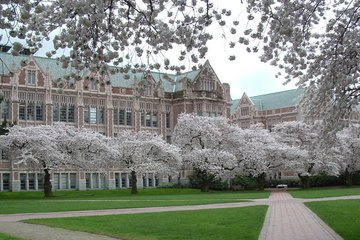 美國的藝術大學申請攻略