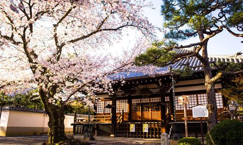 高中藝術生留學日本需要考些什么
