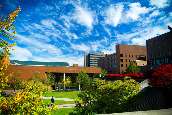 紐約州立大學布法羅分校世界排名