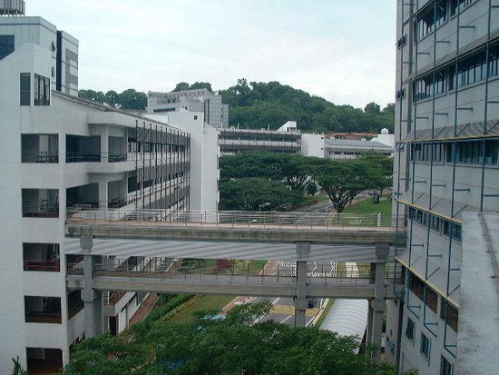 新加坡國立大學設計專業