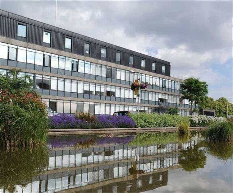 英國倫敦布魯內爾大學排名