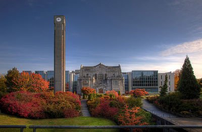 ubc大學世界排名