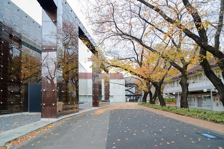 日本東京藝術類大學排名，這些院校值得選擇！