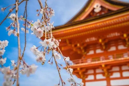 日本藝術大學留學費用情況一覽！