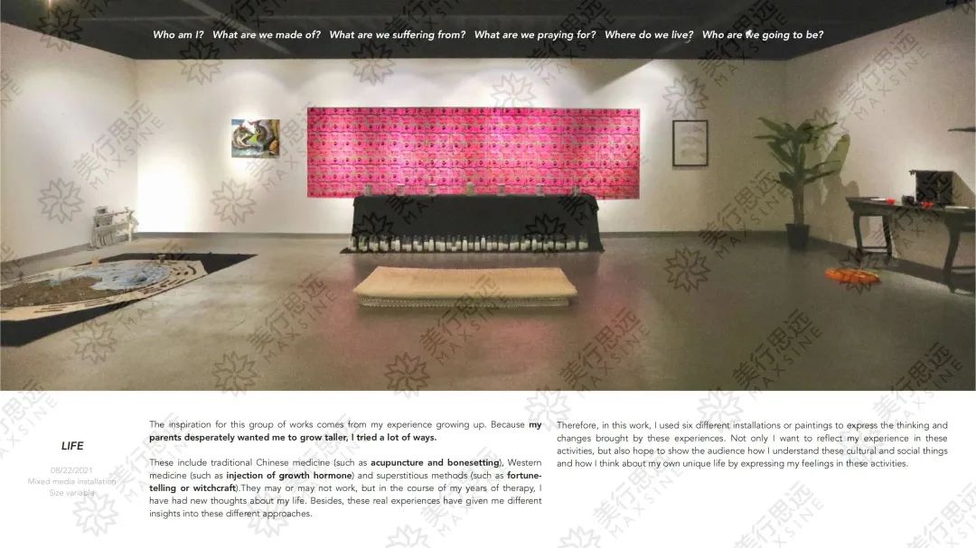 我在作品集中探討“人生大事”，斬獲Parsons、SVA等5所純藝offer及125萬獎學金！