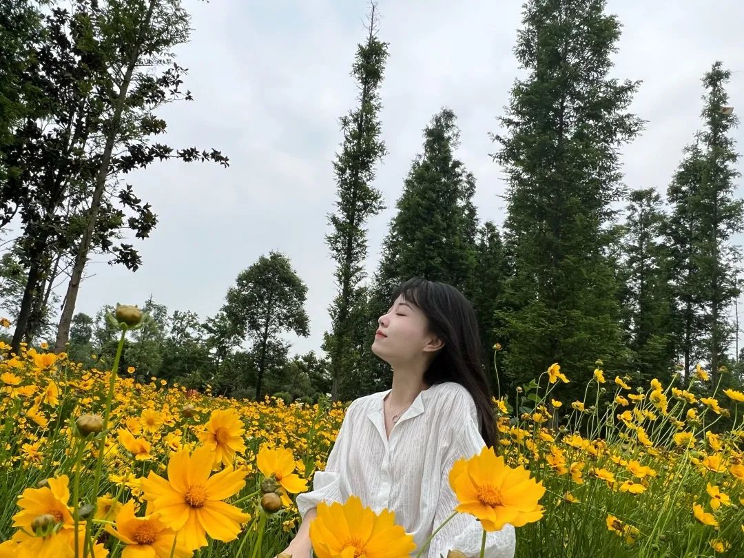 MAX 景觀 | 將跨學科思維植入教學，幫學員解鎖謝菲、愛大、AA等名校offer！