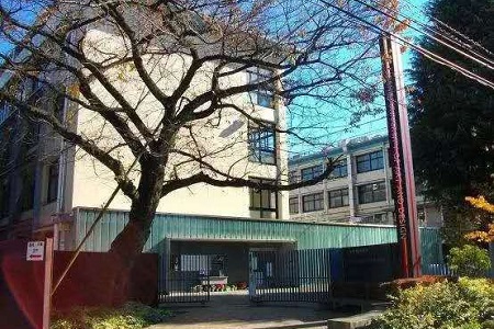 2022年東京美術類大學排名