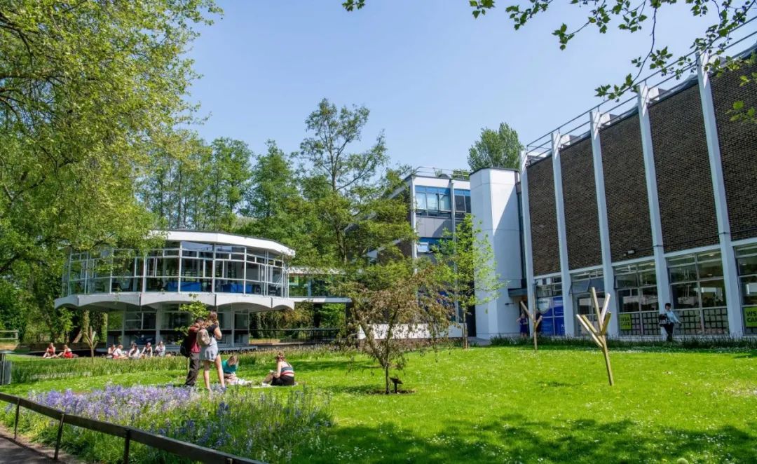 南安普頓大學提升標準  5月底，英國南安普頓大學校方宣布：從2024/2025學年的申請季開始，南安普頓大學將提高部分專業的錄取要求，調整涉及到本科、授課型碩士、語言成績、學術成績等方面。這也是英國QS前100大學中，首個明確決定要在2024年秋季提升錄取要求的院校！   藝術類本科專業要求提高的有：