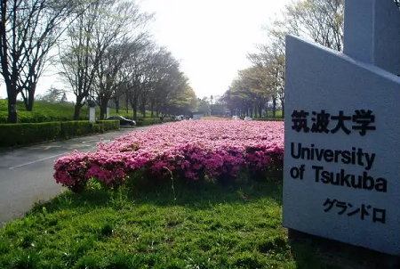 日本筑波大學什么專業最強？