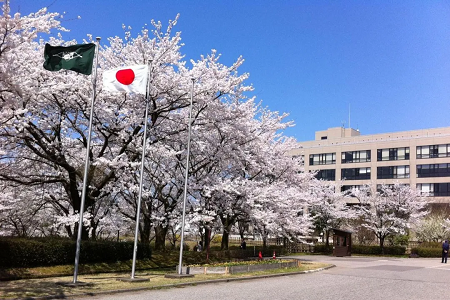 東京大學建筑學專業如何？