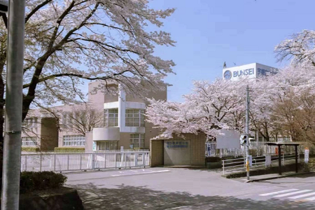 日本文星藝術大學如何？