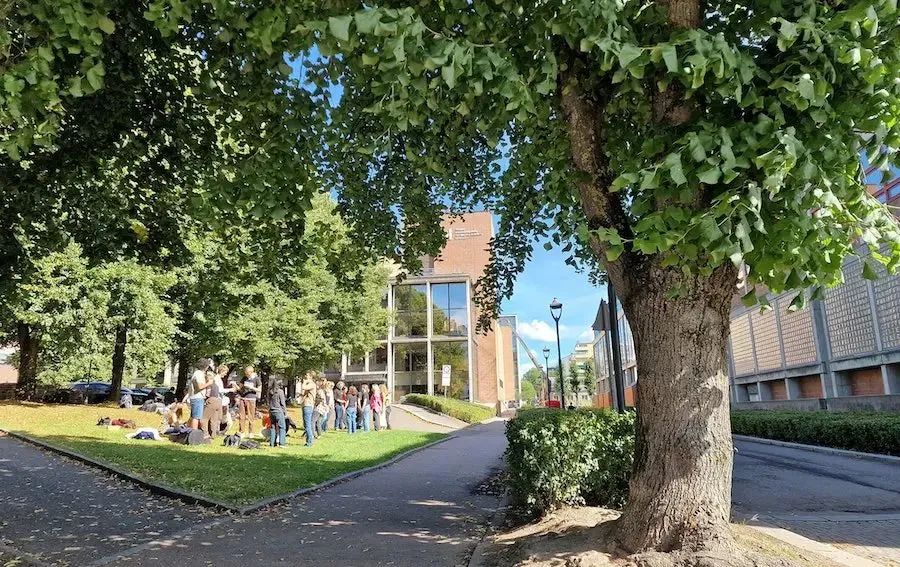 英文授課、無需小語種，北歐五國音樂留學都有哪些院校？